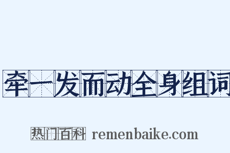 牵一发而动全身组词是什么意思的图片